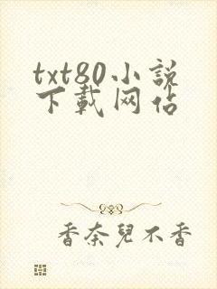 txt80小说下载网站