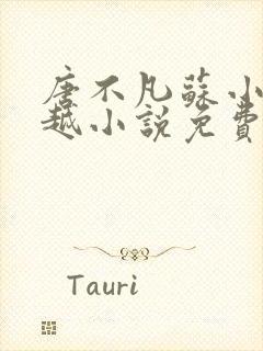 唐不凡苏小蕊穿越小说免费阅读