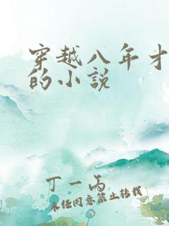 穿越八年才出道的小说