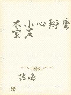 不小心掰弯直男室友