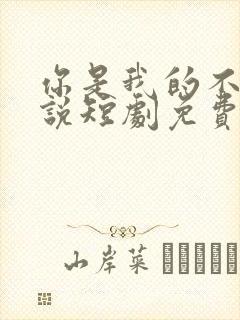 你是我的不可言说短剧免费观看