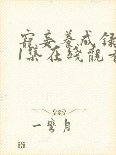 宠妾养成录第11集在线观看