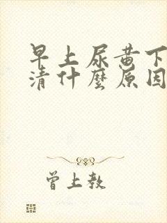 早上尿黄下午尿清什么原因