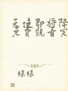 天使即将降临2免费观看完整版