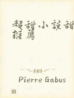 超甜小说甜宠文推荐