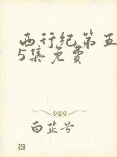 西行纪第五季第5集免费