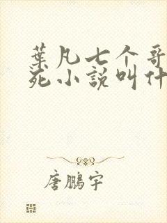 叶凡七个哥哥战死小说叫什么名