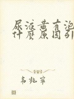 尿液黄有泡泡是什么原因引起的