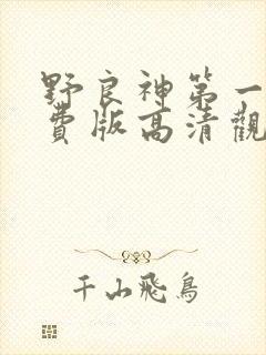 野良神第一季免费版高清观看