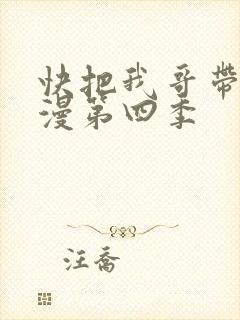快把我哥带走动漫第四季