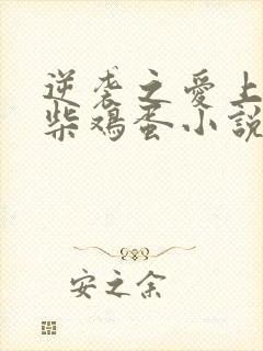 逆袭之爱上情敌柴鸡蛋小说免费阅读全文在线