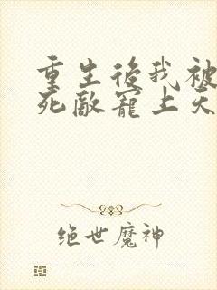 重生后我被渣男死敌宠上天的