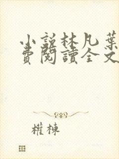 小说林凡叶惜免费阅读全文最新