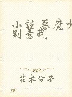 小说 恶魔少爷别惹我