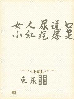 女人尿道口有个小红疙瘩是怎么回事