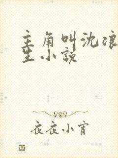 主角叫沈浪的重生小说