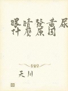 眼睛发黄尿黄是什么原因