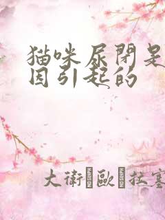 猫咪尿闭是啥原因引起的