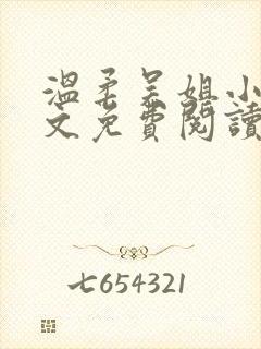 温柔吴姐小说全文免费阅读最新章节