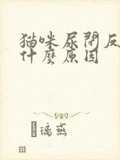 猫咪尿闭反复是什么原因