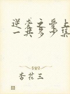 逆袭之爱上情敌一共多少集