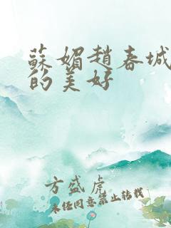 苏媚赵春城意外的美好