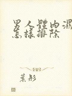 男人体内湿气重怎样排除