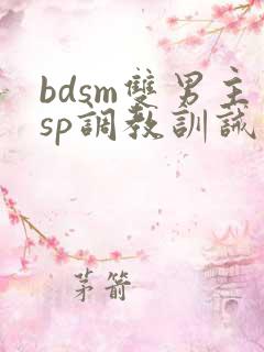 bdsm双男主sp调教训诫文