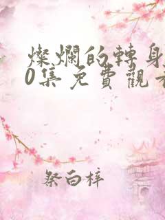 灿烂的转身第10集免费观看