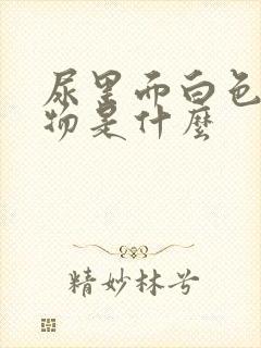 尿里面白色絮状物是什么