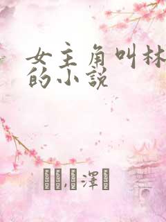 女主角叫林向晚的小说