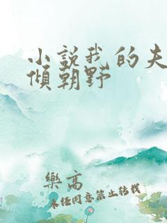 小说我的夫君权倾朝野