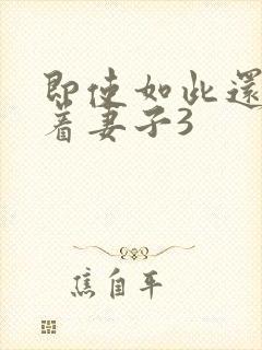 即使如此还是爱着妻子3