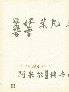 医婿 叶凡 唐若雪