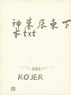 神墓辰东下载全本txt