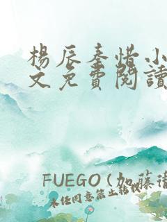 杨辰秦惜小说全文免费阅读最新章节更新