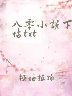 八零小说下载网站txt