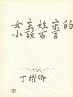 女主姓宋的重生小说古言