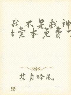 我不是戏神txt完本免费下载