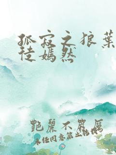 孤寂之狼叶凡司徒嫣然