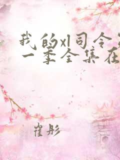 我的xl司令第一季全集在线观看