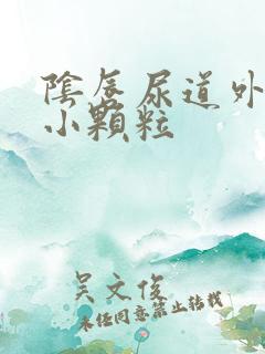 阴唇尿道外口有小颗粒