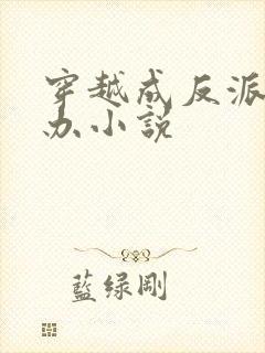 穿越成反派怎么办小说