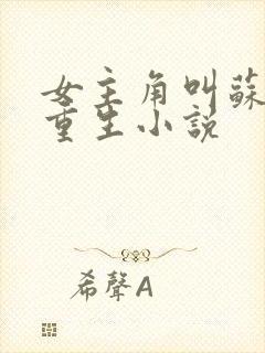 女主角叫苏离的重生小说