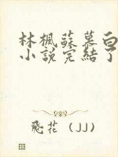 林枫苏慕白穿越小说完结了吗怎么看