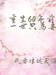 重生60年前这一世只为妻儿小说