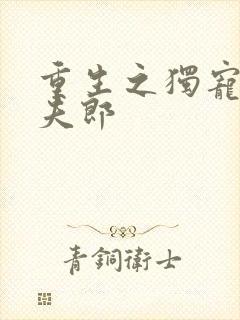 重生之独宠冲喜夫郎