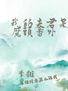 我的夫君是灭世魔头番外