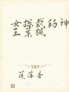 女总裁的神级兵王叶枫