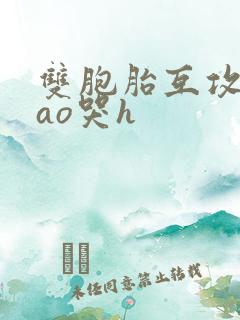 双胞胎互攻被cao哭h